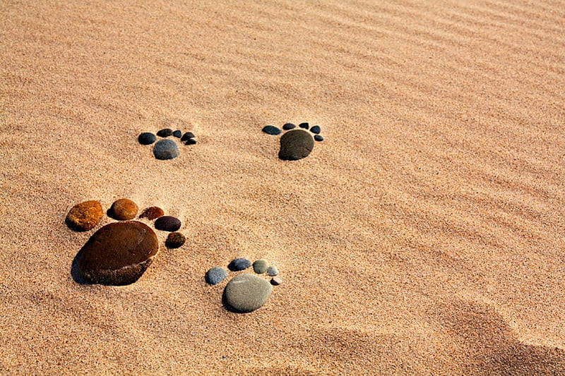 HD wallpaper: footsteps, beach, sand, sea, ocean, journey, coast, path,  outdoor | Wallpaper Flare