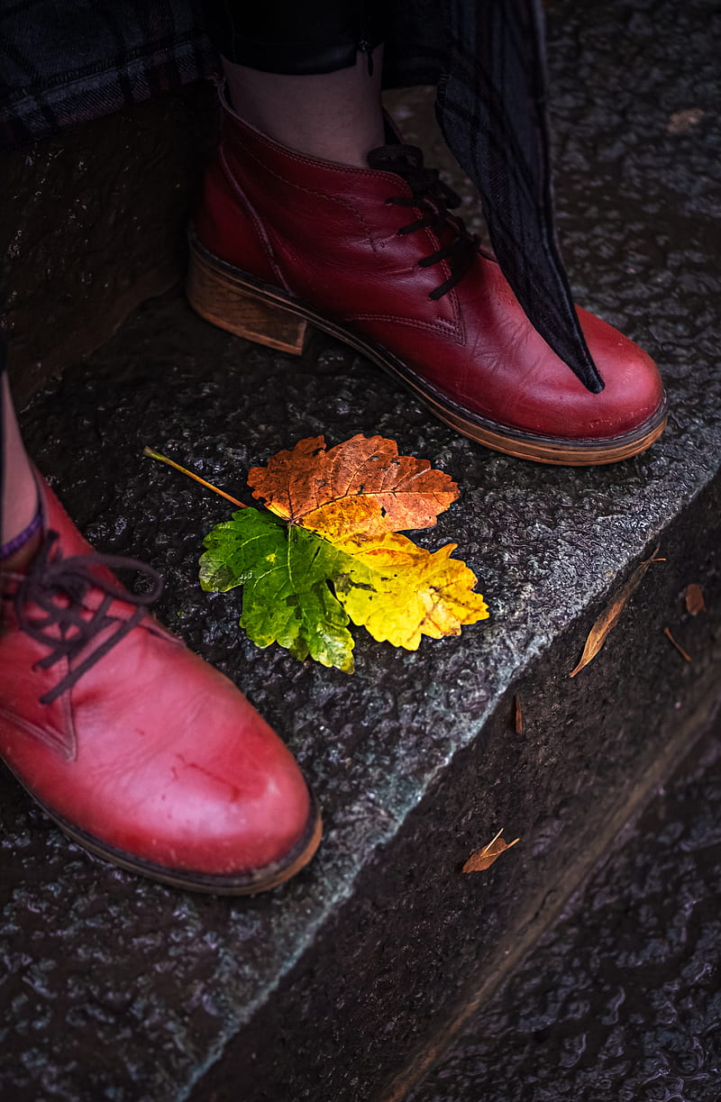 brown leather shoes beside yellow maple leaf, HD phone wallpaper