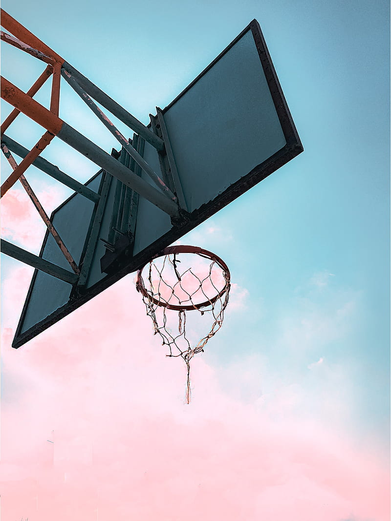basketball hoop, shield, net, HD phone wallpaper