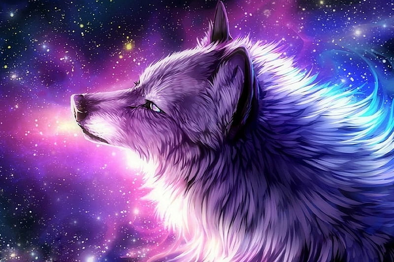 'The Galaxy Wolf', draw and paint, lovely, love four seasons, bonito, creative pre-made, digital art, paintings, wolf, wolves, animals, HD wallpaper