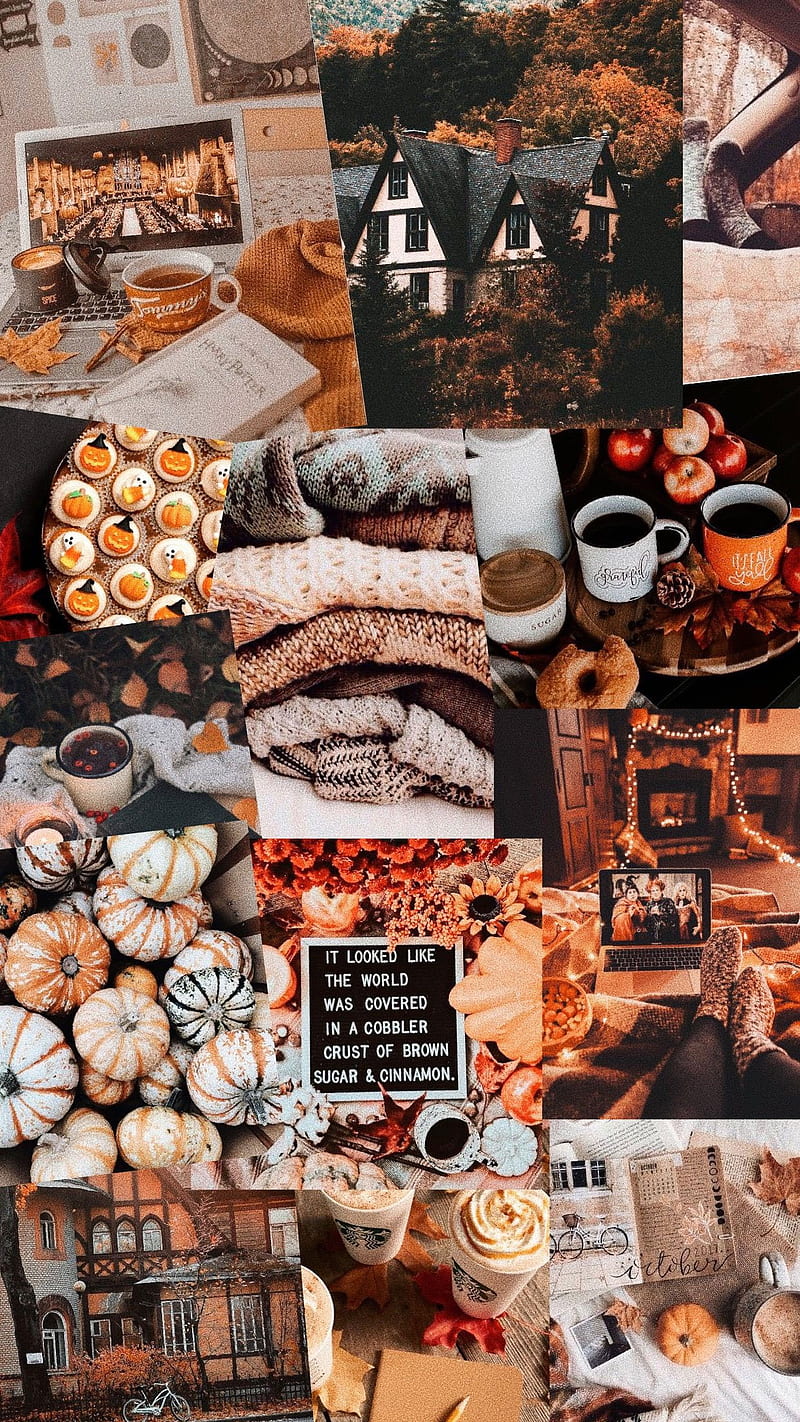 Cute Brown Aesthetic for Phone : Pretty Autumn Collage Aesthetic I Take You. Wedding Readings. Wedding Ideas. Wedding Dresses. Wedding Theme, HD phone wallpaper