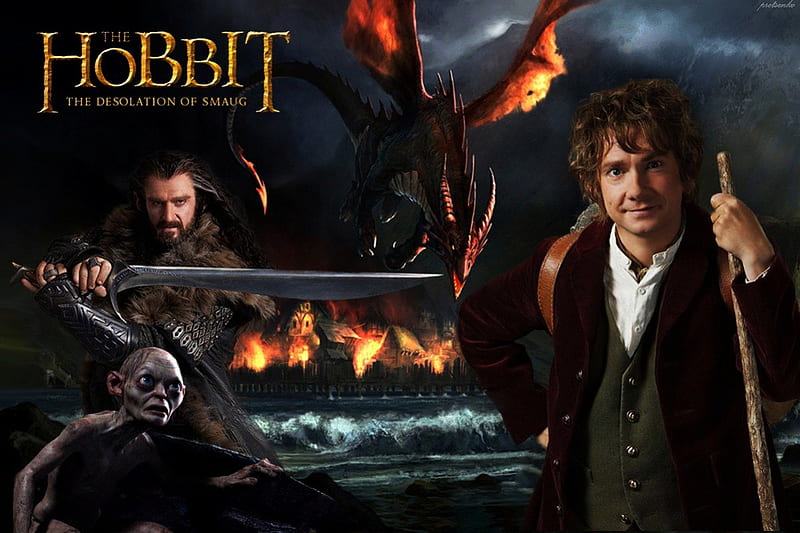 Hobbit Part2, hobbit, fantasy, dragon, film, HD wallpaper