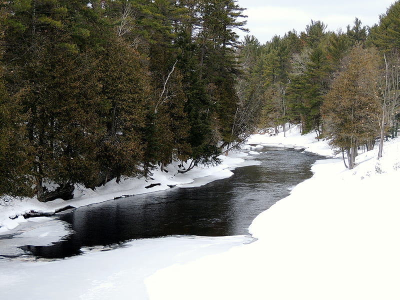 Winter At The Creek, Ontario, Trees, Canada, graphy, Snow, Eels Creek, Nature, Winter, HD wallpaper