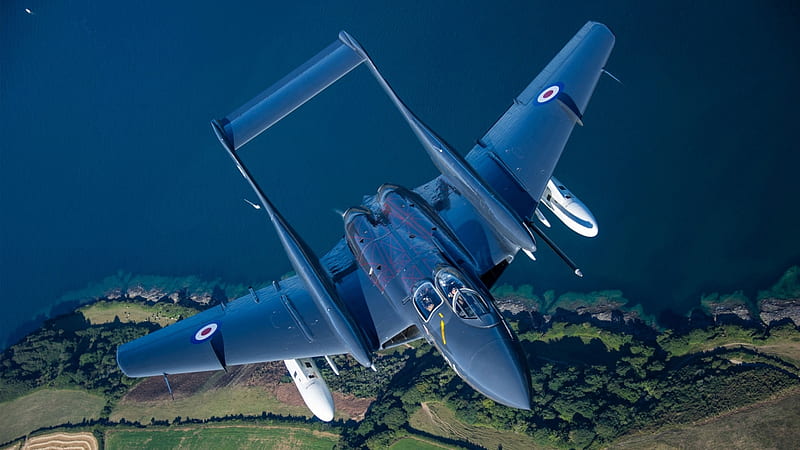 De Havilland Sea Vixen, RAF, British Aircraft, Sea Vixen, HD wallpaper