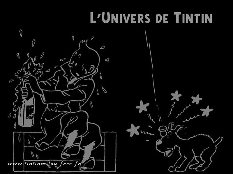 L'univers de Tintin, cartoons, tintin, bottle, black and white, snowy, colored, dog, herge, black, cartoon, comic, cool, france, dark, milou, funny, champagne, HD wallpaper