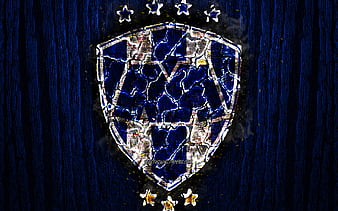 monterrey soccer logo