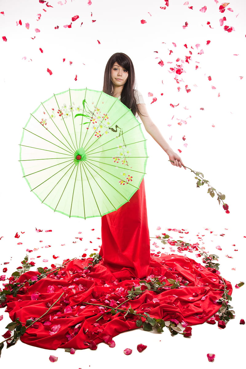 parasol, roses, Asian, women, red, red flowers, flowers, model, white, HD phone wallpaper