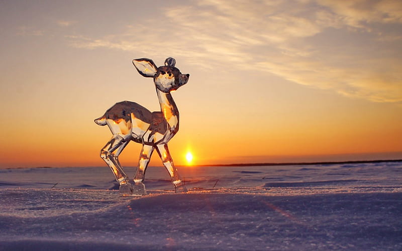 Ice deer, orange, sunset, sculpture, deer, winter, purple, snow, ice, pink, figurine, HD wallpaper
