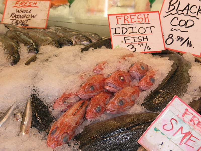 Seattle Pike Market - Idiot Fish, fish, seattle, pike, funny, market, HD wallpaper
