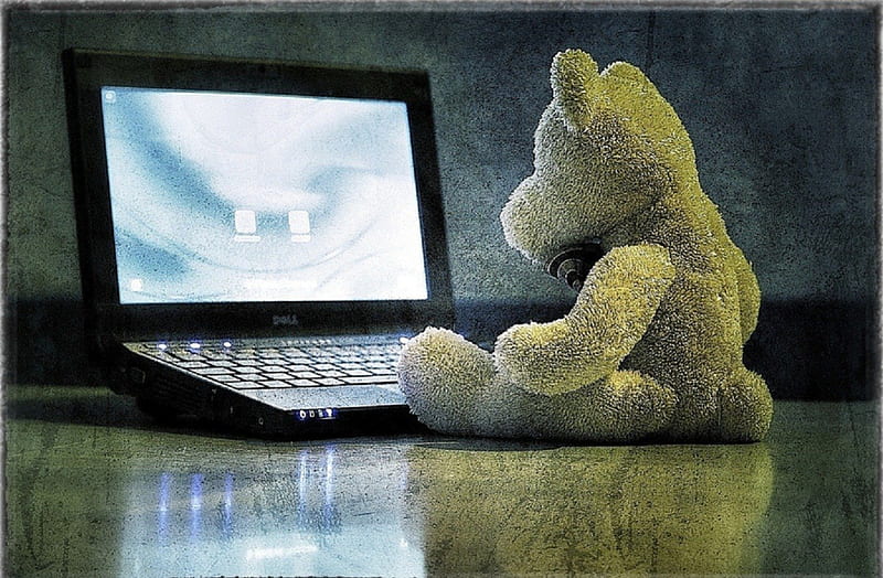 Computer and teddy bear, nice, cool, graphy, teddy, bear, toy, teddy bear, HD  wallpaper | Peakpx
