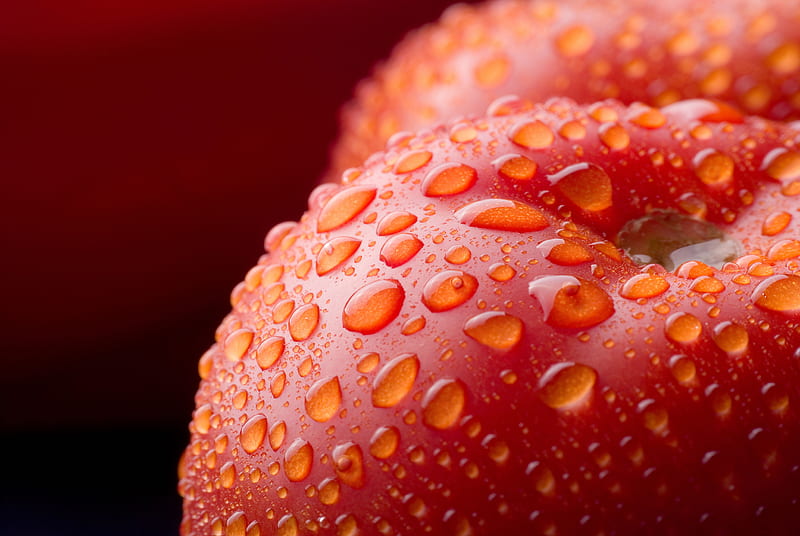 Water Drops On Tomatoes, HD wallpaper