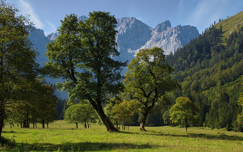 Tyrol, Alps, Karwendel Mountains, Grosser Ahornboden, summer, mountain landscape, Austria, HD wallpaper