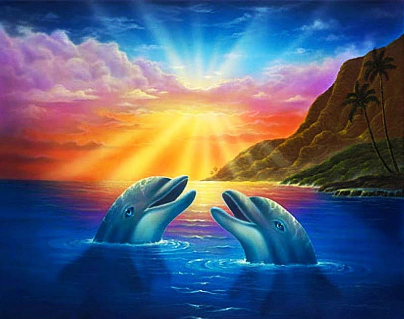 Animalsimage on Twitter Look collection of dolphins jumping in the sunset  making a heart wallpaper at httpstco9xufXlE3if  httpstcoiCnSyUronZ  X