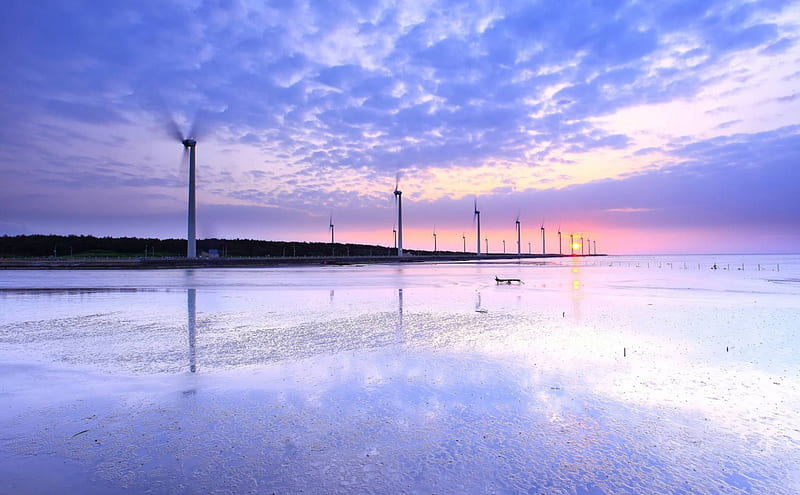 wind mills, cool, ocean, nature, sunset, fun, HD wallpaper