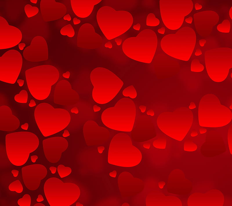 Valentine Hearts, love, valentine, HD wallpaper