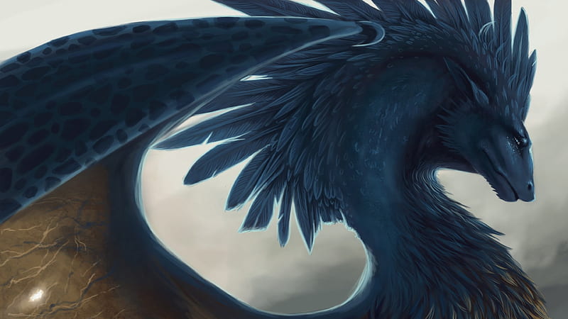 Dragon, fantasy, wings, feather, game, blue, HD wallpaper