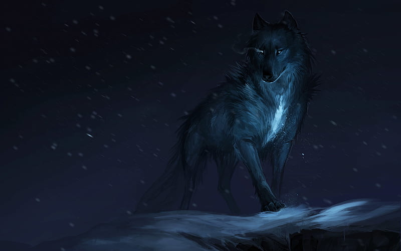 wolf, winter fantasy art, night, predator, HD wallpaper
