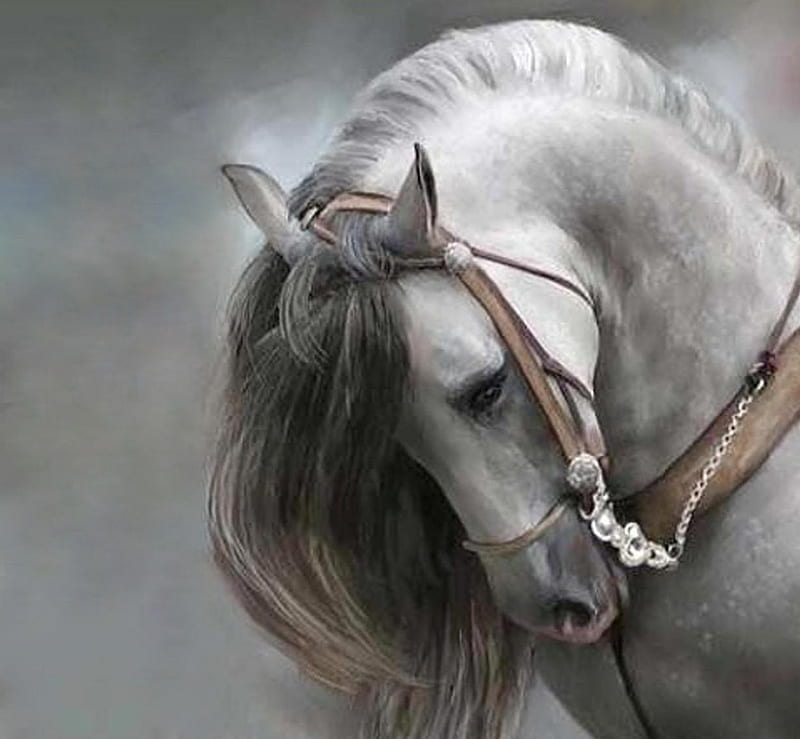 Painting art, , expression, new, color, horse, HD wallpaper Painting art, , expression, new, color, horse, HD wallpaper