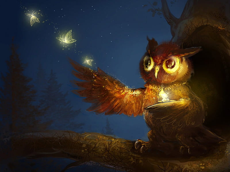 Magical Night of the Owl, candle, owl, art, tree, glowing, butterflies, HD wallpaper