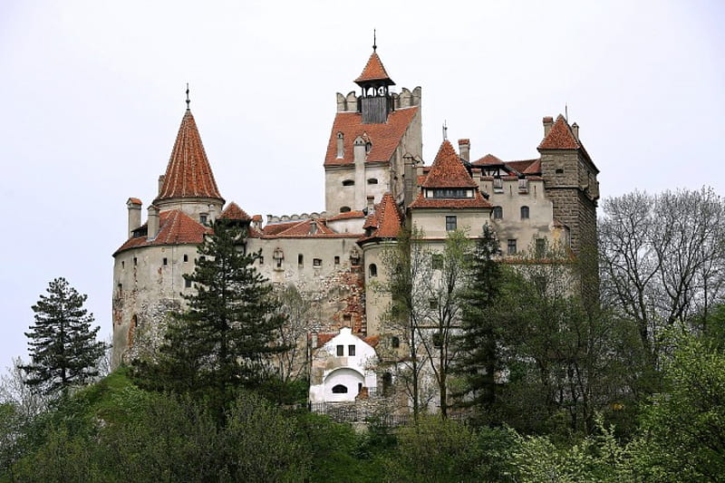 Bran Castle, Romania (Transylvania), Castle, Bran, Romania, Medieval, HD wallpaper