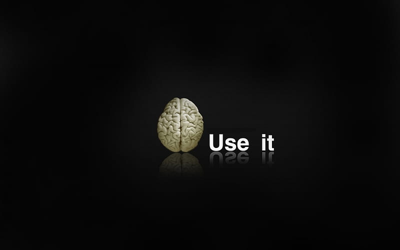 Use your brain, black, stupid, brain, use it, HD wallpaper