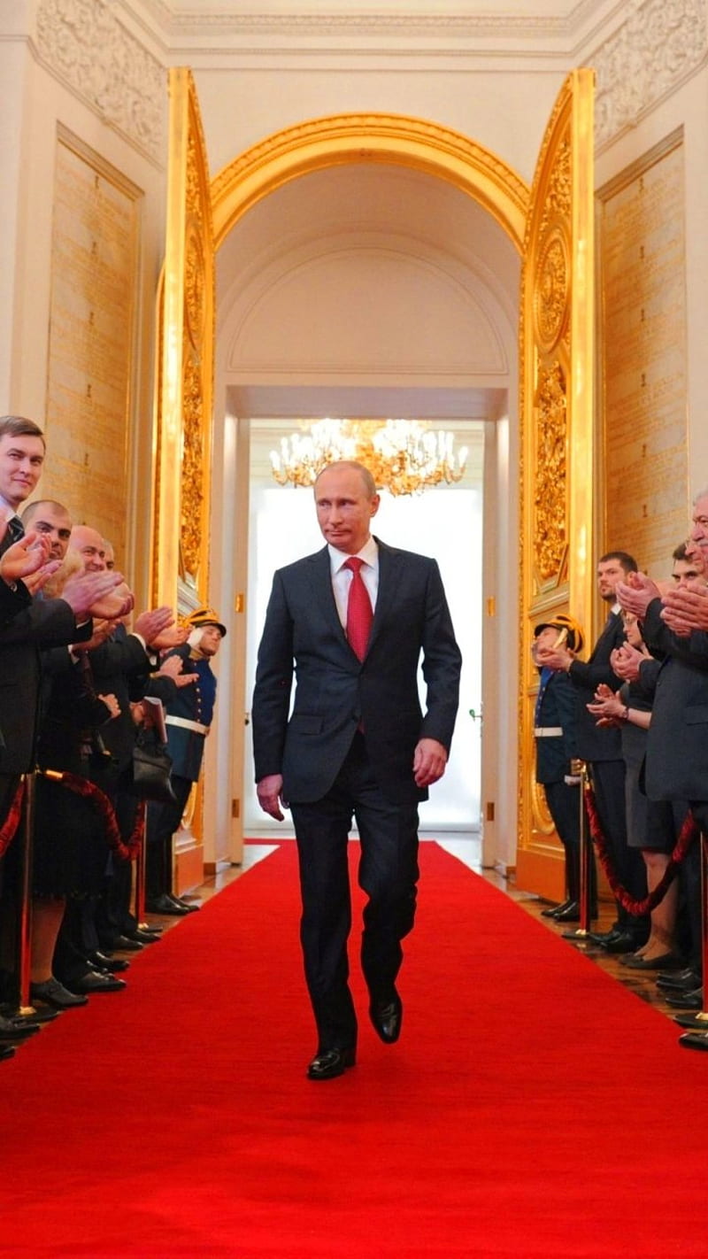 Vladimir Putin, red carpet, HD phone wallpaper