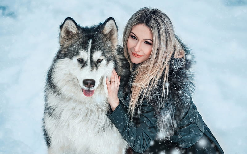 Woman With Her Husky Dog, lovely, snow, Blonde, Woman, dog, winter, husky, friends, HD wallpaper