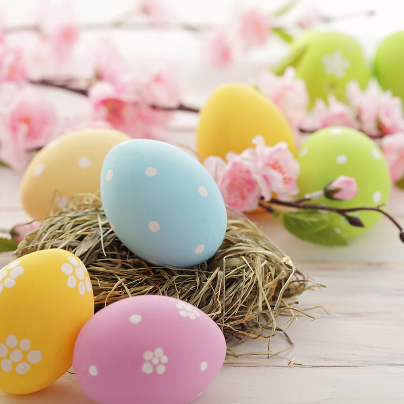 Easter Time, colors, decoration, egg, flowers, holiday, spring, HD phone wallpaper