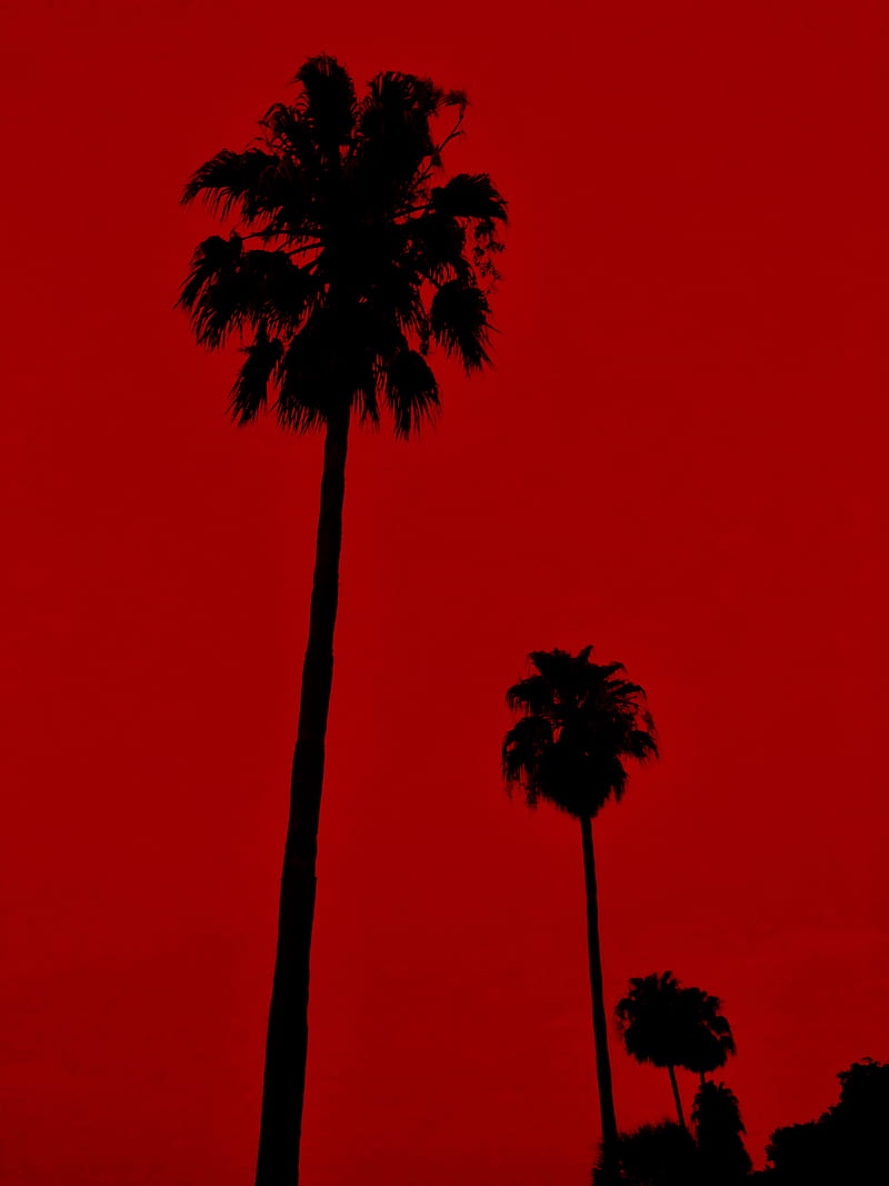 Red Palms, beach, contrast, palm trees, palms, red, red and black, summer, HD phone wallpaper