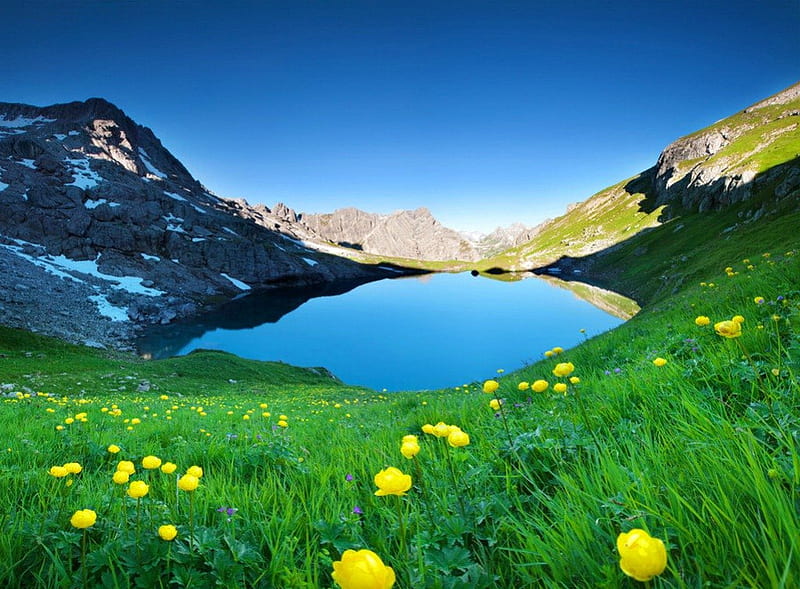 Lake in Tirol, pretty, shore, grass, bonito, snowy, Tirol, round, nice, green, wildflowers, peak, flowers, lovely, view, greenery, sky, lake, slope, summer, nature, HD wallpaper