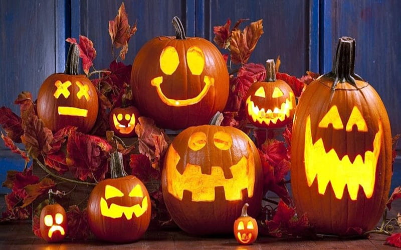 Halloween Family Of Pumpkin, Yellow, Carved, Halloween, Orange, Pumpkins, HD wallpaper