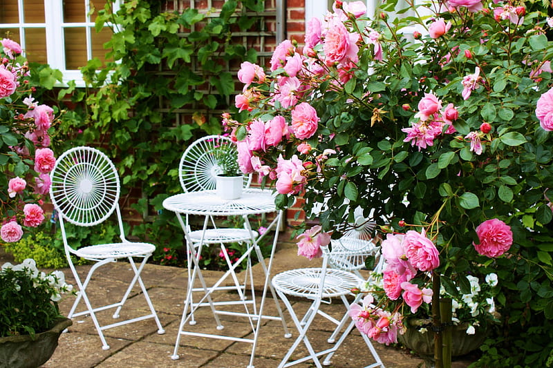 Rose Garden, veranda, table, chairs, blossoms, roses, pink, HD wallpaper