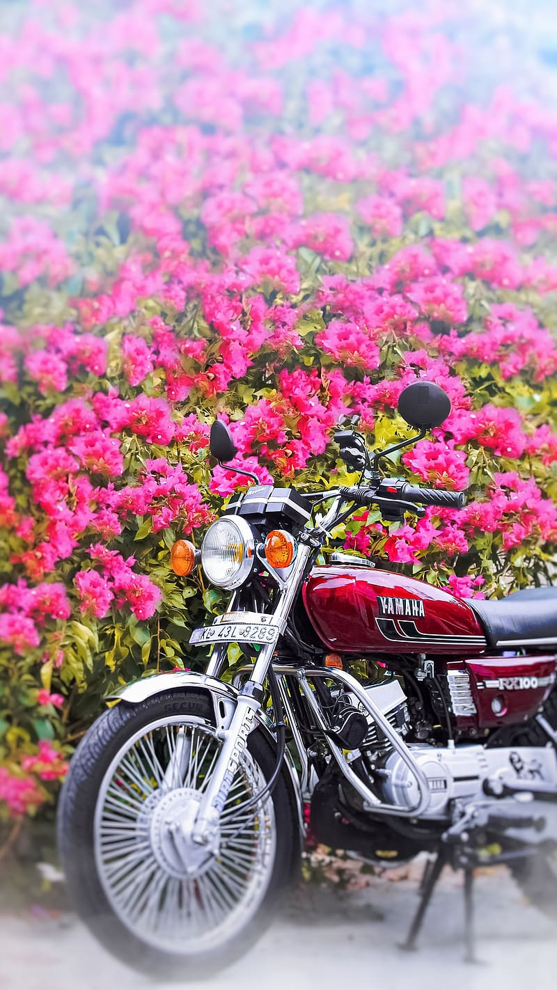 Rx100, Flowers Background, bike, yamaha, HD phone wallpaper