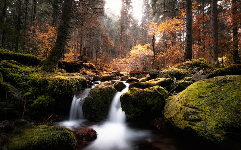 waterfall, autumn, forest, river, autumn landscape, evening, HD wallpaper