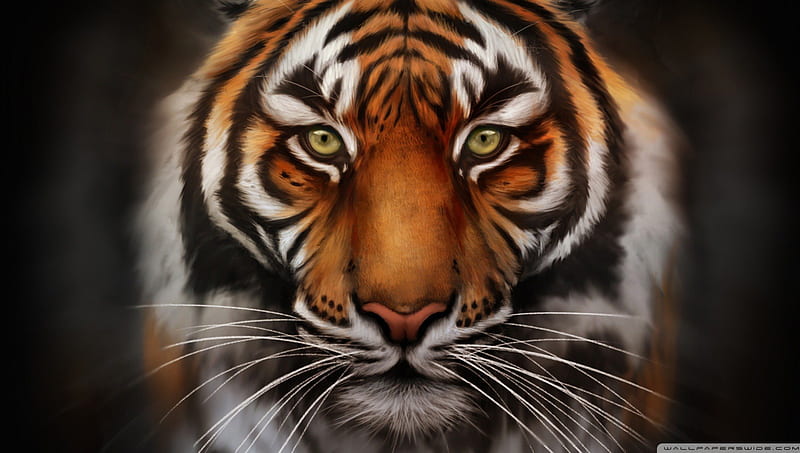 Bengal Tiger 3D, 3d, bengaltiger, animals, HD wallpaper