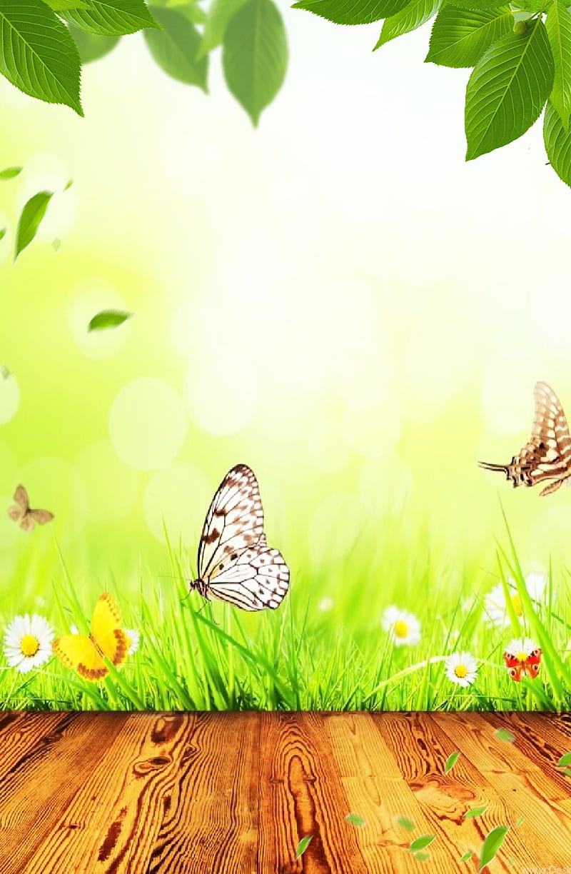 Butterfly garden, HD phone wallpaper