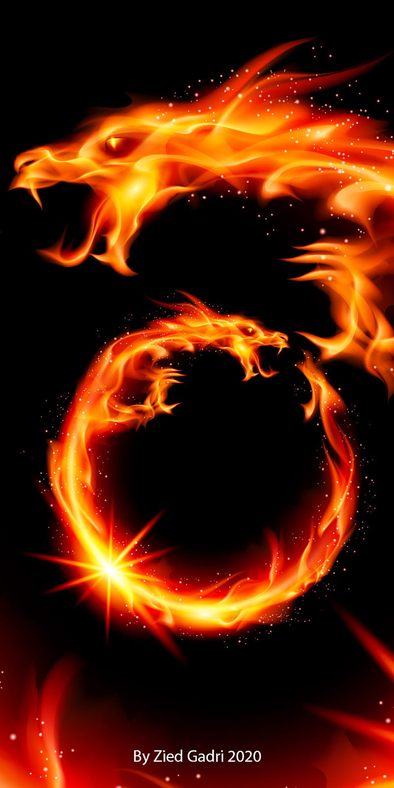 Fire Dragon, black, flame, flames, flower, under, HD phone wallpaper |  Peakpx
