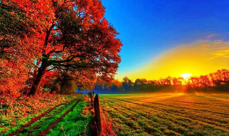 Beautiful Sunset over the field, colors of nature, colorful, sun ...