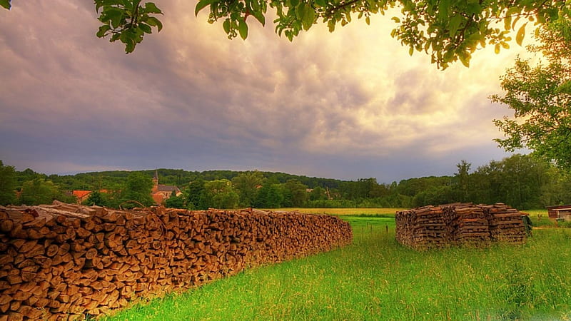 Meadow Summer, summer, clouds, wild, meadow, HD wallpaper