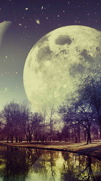 Dark Moon, forest, grass, space, full, fogg, moon, half, murder, dark ...