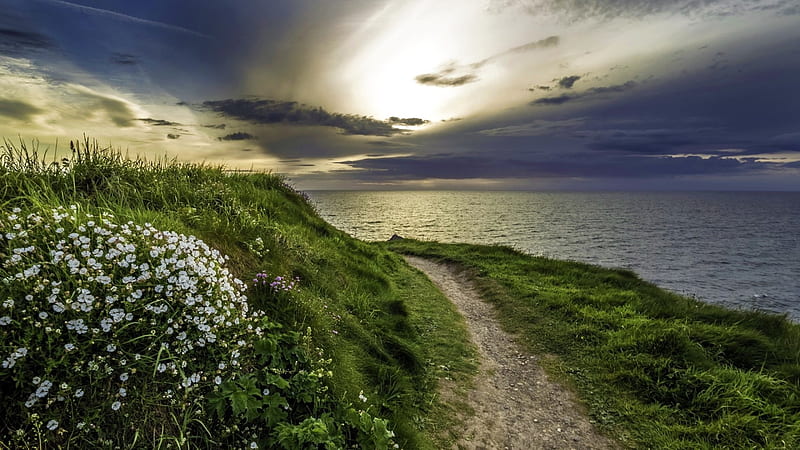 Path by English Seacoast & White Flowers, Sea, Sky, Clouds, Oceans, Pathway, Flowers, Sunsets, Nature, HD wallpaper