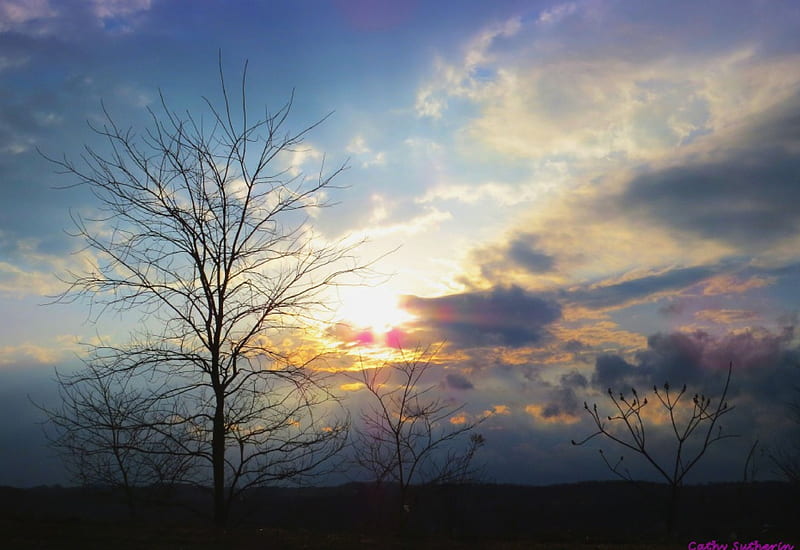 Before the Spring Storm, sun, sunset, spring, sky, clouds, tree, limbs, nature, sunrise, HD wallpaper