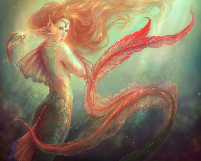 Red Head Mermaid, Fish, Fantasy, Mermaid, Red Head, HD wallpaper