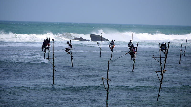 Stilt Fishermen, Fishermen, Stilts, Reefs, Sri Lanka, HD wallpaper