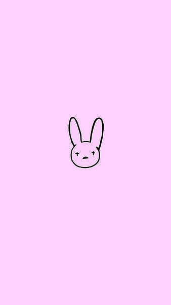 Conejo, bunny, pets, rabbit, rabbits, HD phone wallpaper | Peakpx