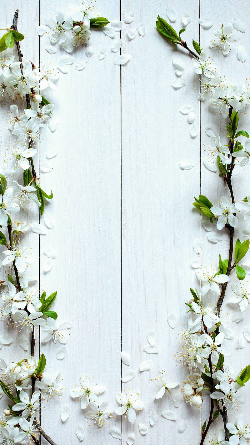 Flores blancas, hojas, madera, Fondo de pantalla de teléfono HD | Peakpx
