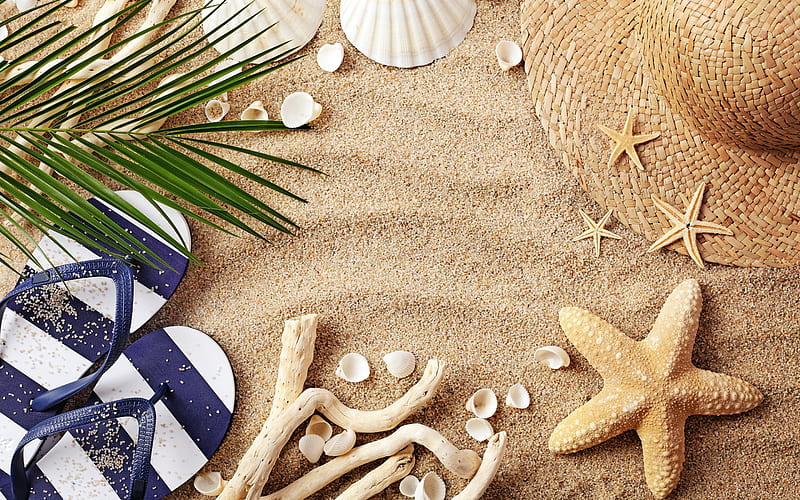 beach concepts, sand, beach accessories, summer, travel, sea sand, starfish, seashells, HD wallpaper