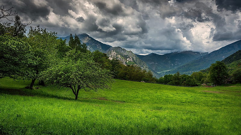 Provence, cool, grass, green, mountains, France, nature, HD wallpaper