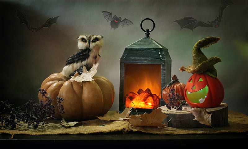 Holiday, Halloween, Burlap, Lantern, Leaf, Owl, Pumpkin, HD wallpaper
