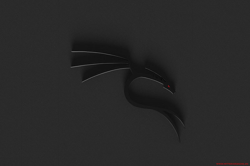 Gray Dragon Wall Decor, Linux, Kali Linux Nethunter • For You, Black and Gray Dragon, HD wallpaper